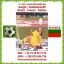 Soccer-Show-Kristi-Hristo Petkov
